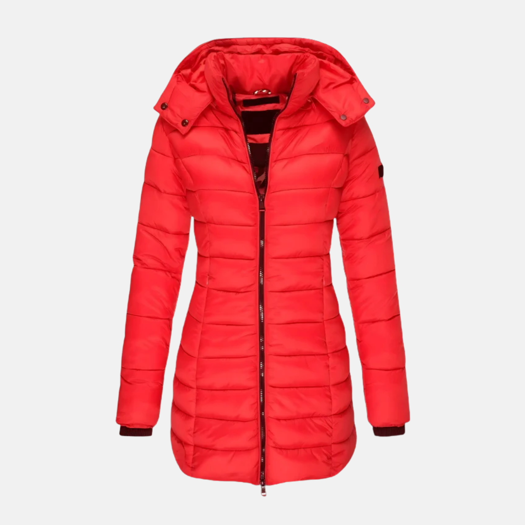 Women's Puffer Jacket – Slim Fit – Padded – Mid-length – With Hood and Ribbed Cuffs