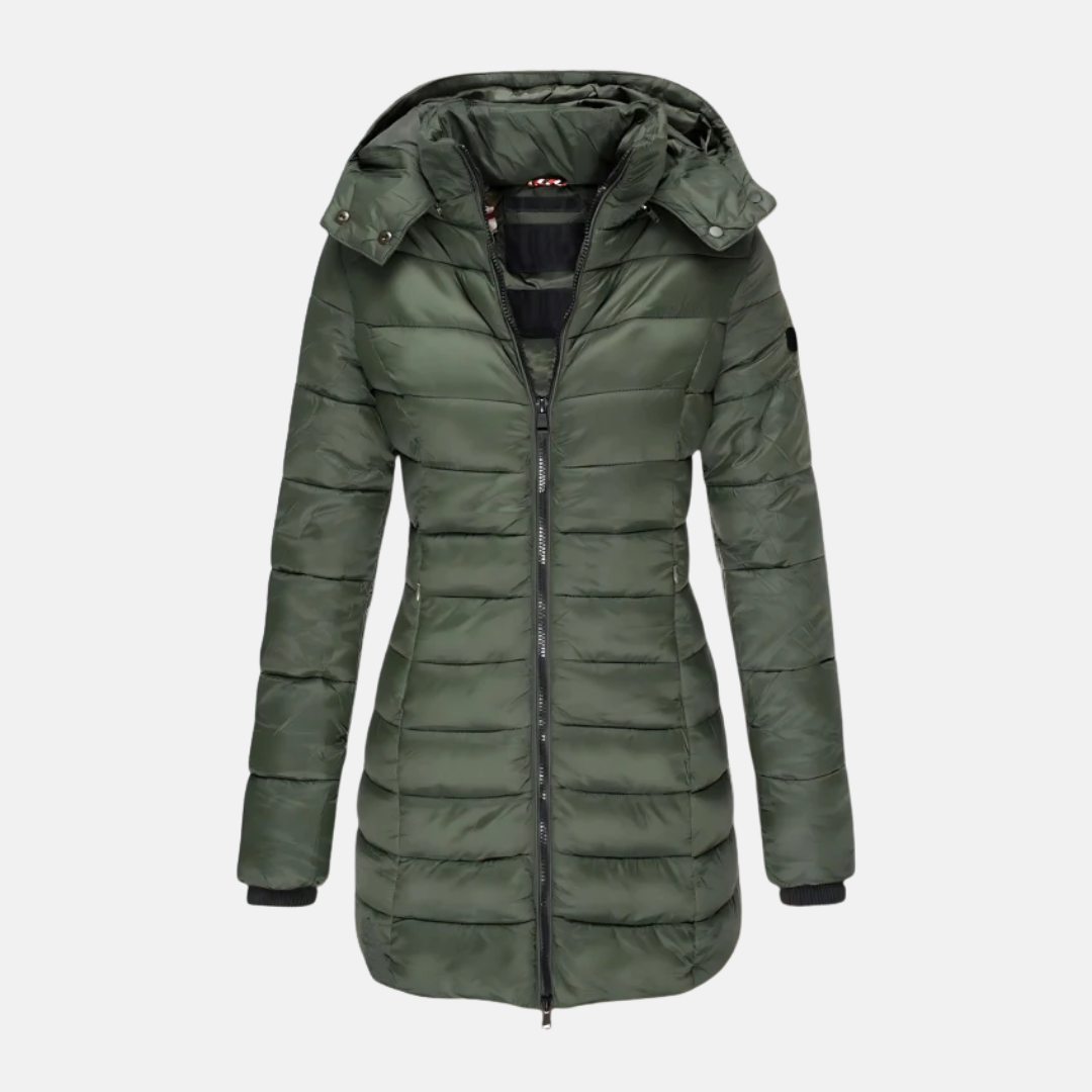 Women's Puffer Jacket – Slim Fit – Padded – Mid-length – With Hood and Ribbed Cuffs